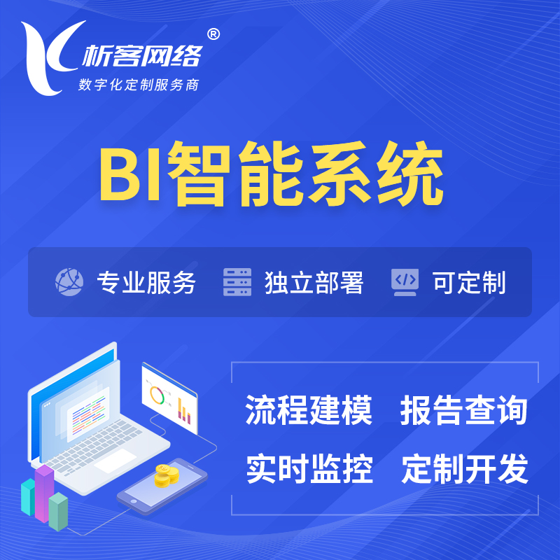 杭州BI智能系统 | BI数据可视化